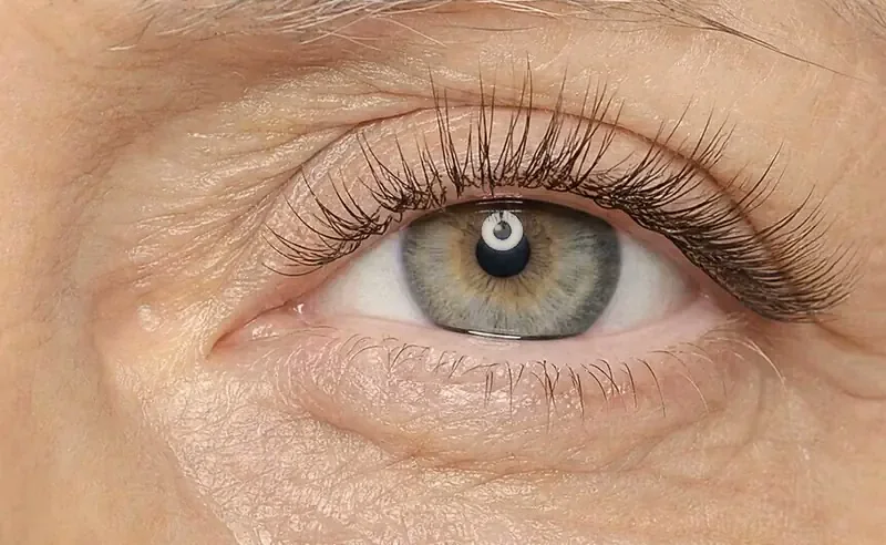 Le même œil après la pose : une frange de cils fournie qui rouvre le regard